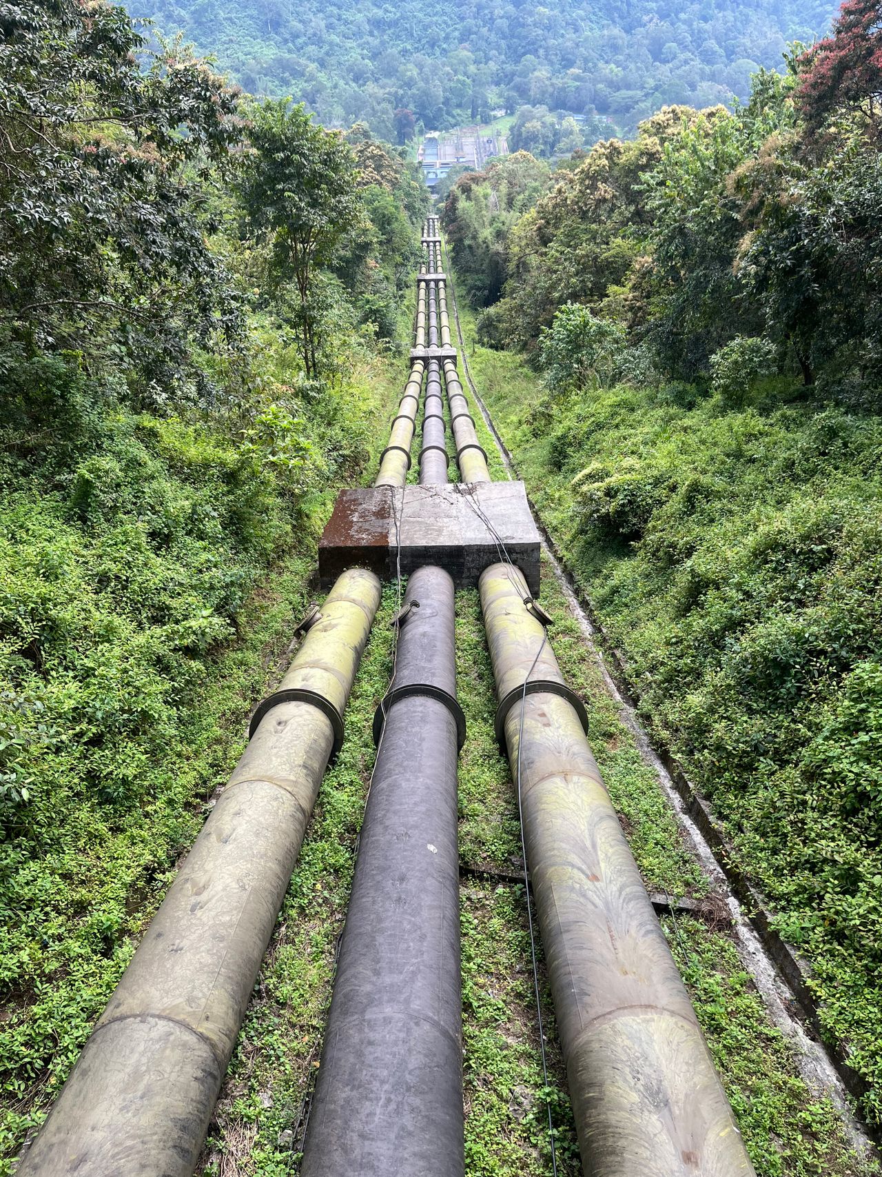 Pipeline right-of-way cutting through dense forest terrain